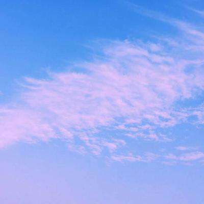 手机买彩票app下载app下载