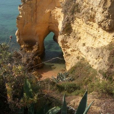 金沙集团1862成色